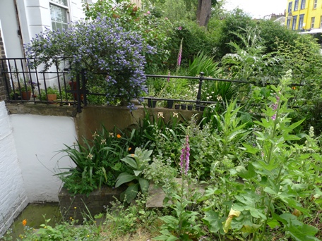 front garden