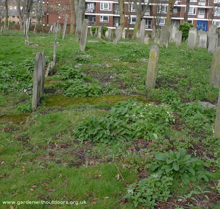 small flowers cemetery