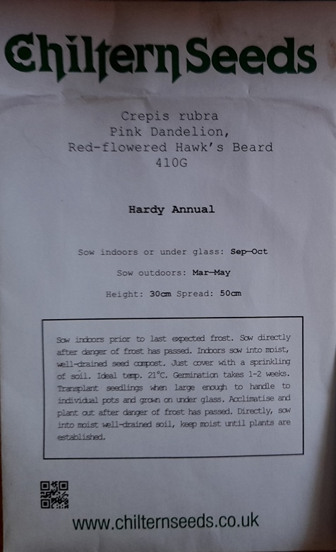 crepis rubra seed packet chiltern seeds
