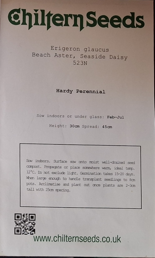 erigeron glaucus seed packet