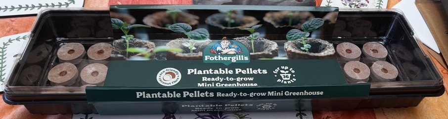 fothergills plantable pellets seed tray