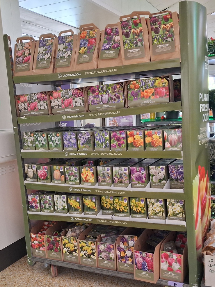 grow and bloom bulbs sainsburys