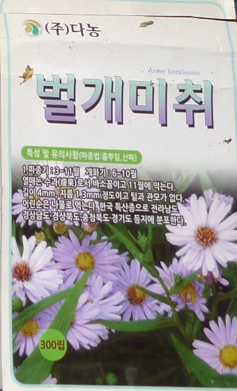 korean aster seed packet