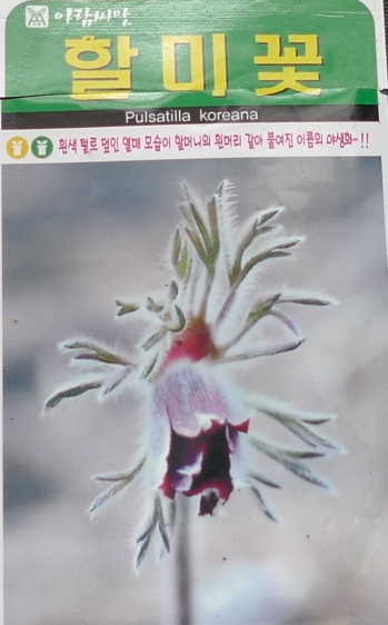 korean pulsatilla seed packet