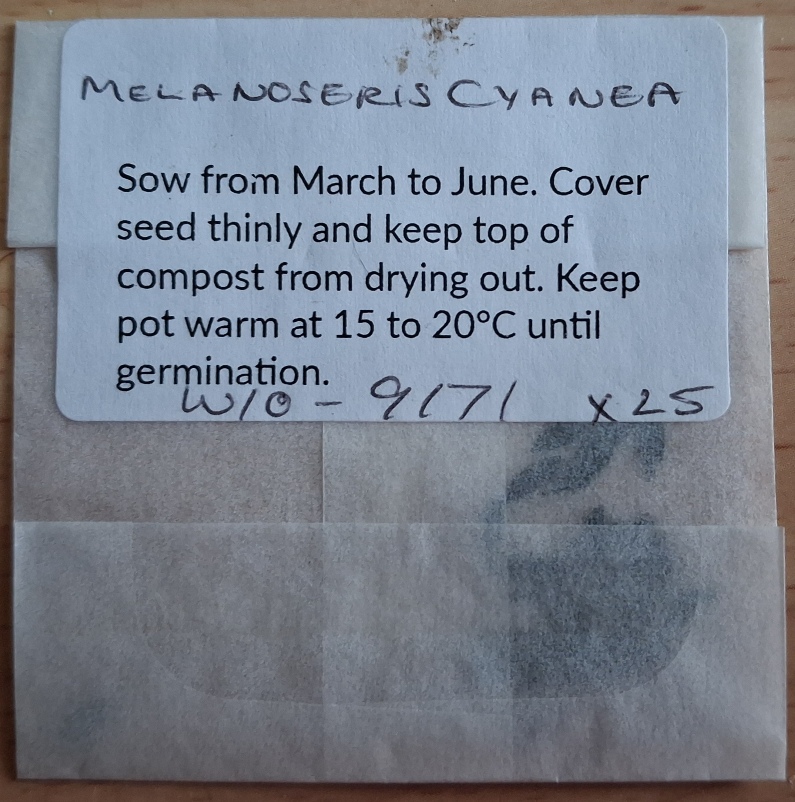 melanoseris cyanea seed packet
