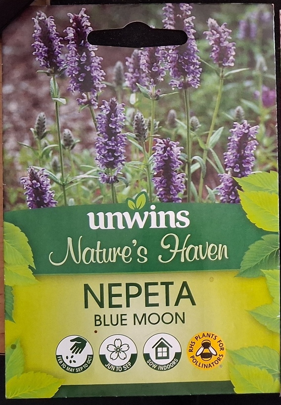 nepeta blue moon seed packet