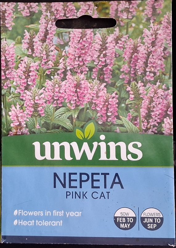 nepeta pink cat seed packet