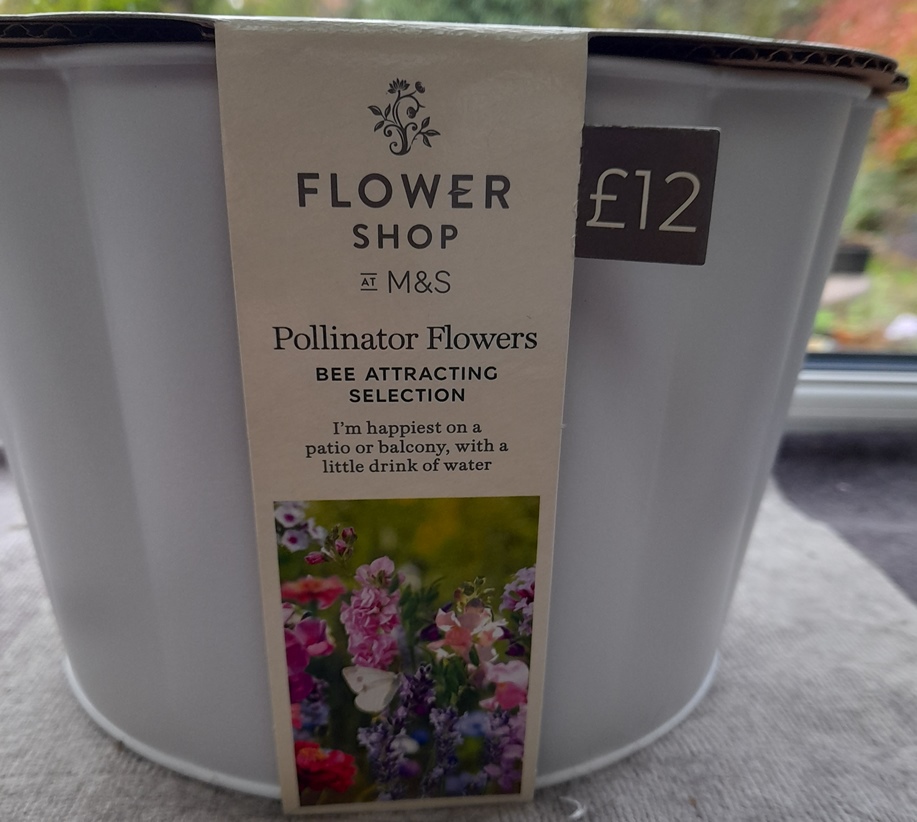 The Flower Shop at M&S Pollinator Flowers Bee Attracting Selection