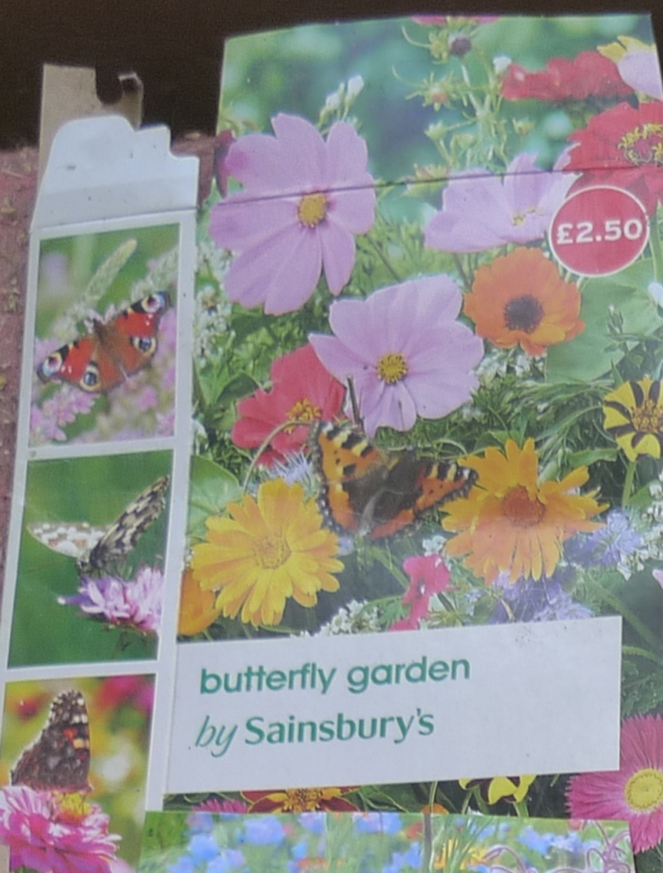 Sainsburys butterfly garden