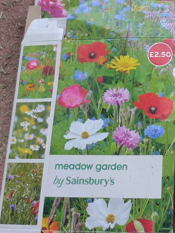 Sainsbury's meadow garden
