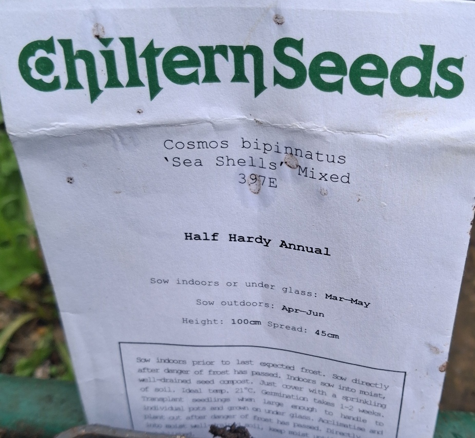 cosmos sea shells seed packet