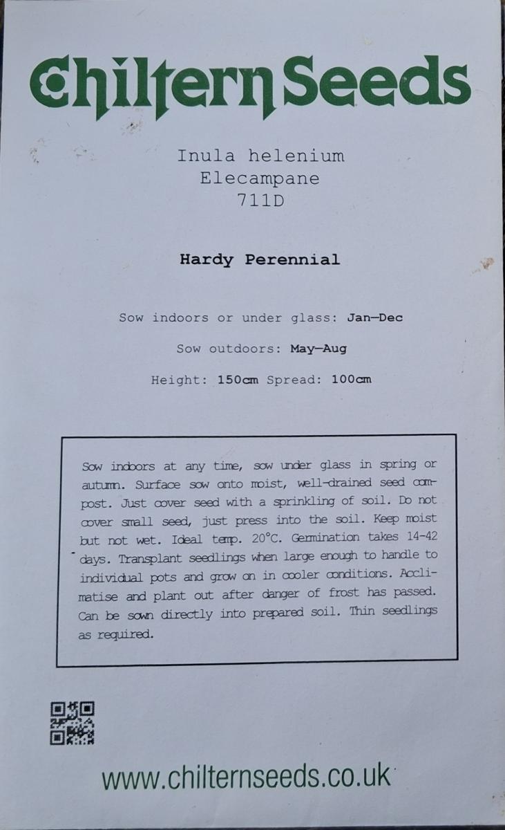 Elecampane seed packet