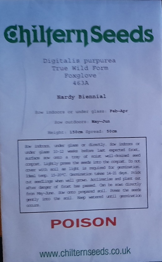 foxglove seed packet