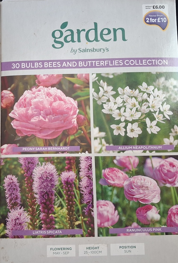 garden by sainsburys 30 bulbs bees and butterflies