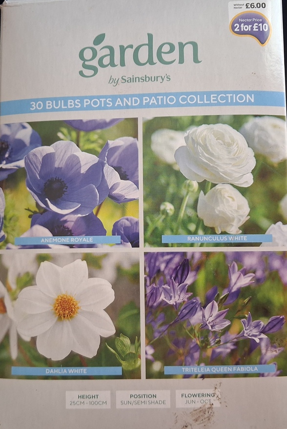 garden by sainsburys 30 bulbs pots patio collection