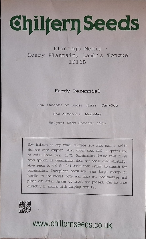 hoary plantain seed packet