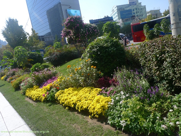 public plantings Seoul