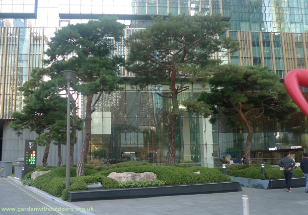 trees in front of buildings Seoul